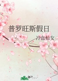 普罗旺斯假日